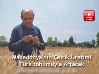 Makedonya'ya çeltik desteği 