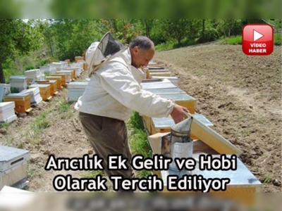 Arıcılığa en çok imam ve öğretmenler katkı sağlıyor 