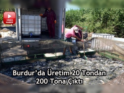 Devlet destek verdi alabalık üretimi 10 kat arttı