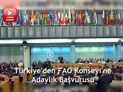 FAOnun üst yönetimine adayız