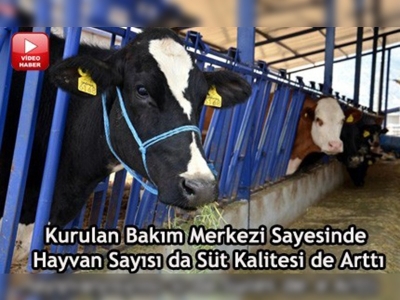 Burdur hayvancılığında yeni proje