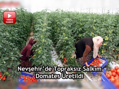 Anadoluda topraksız tarım yaygınlaşıyor