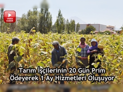 Tarım işçilerine sigorta desteği sürüyor