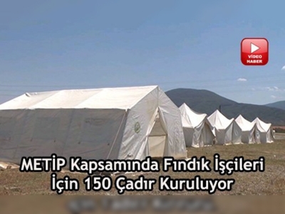 Düzce fındık sezonuna hazırlanıyor 