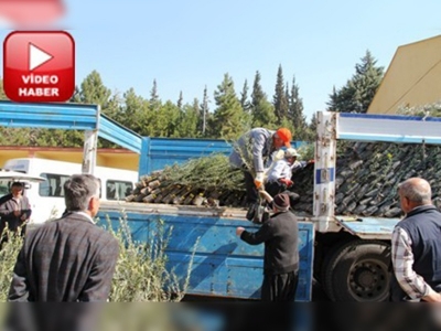 Sır Barajı Zeytin Havzası ile yüzler gülecek