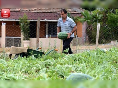 Fındığın yerine karpuz dikti, gelirini 10 kat artırdı 