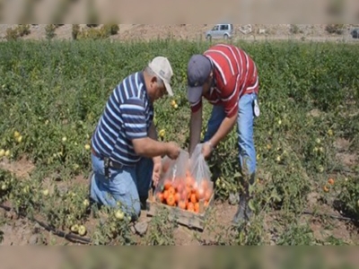 Hamamözü Kaymakamlığından örnek uygulama