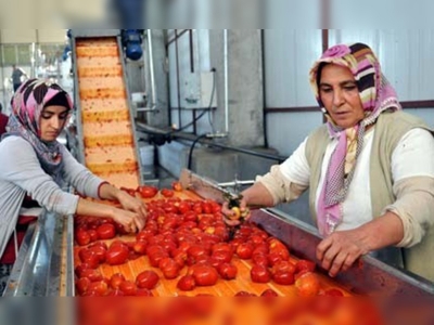 Ahlat salçası dünya pazarına açılıyor 