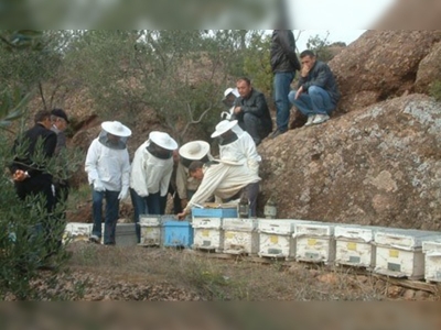 Burhaniyede arıcılar tatbikata katıldı