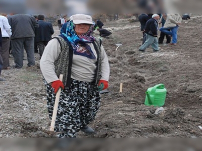 Kütahyada köy ormanları projesi