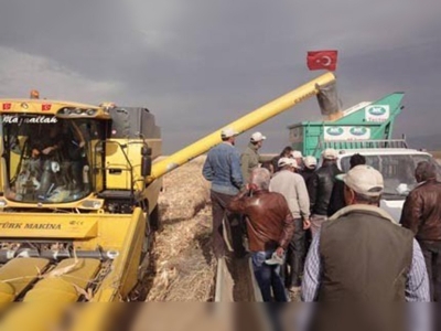 Denizlide danelik mısır tarla günü