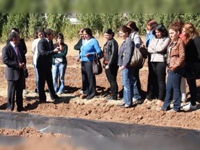 Tuncelide çilek yetiştiriciliği eğitimleri başladı