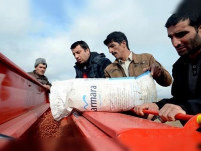 Sarıkamışta soğuğa dayanıklı buğday tohumu ekildi