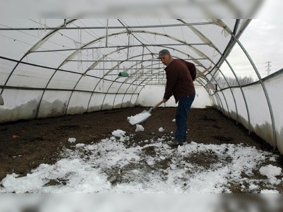 Erzurumlu çiftçiler seraları kar suyu ile suluyor 