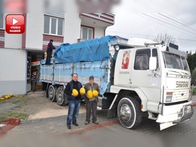 Manisa Kırkağaç kavununun ihraç alanı genişliyor