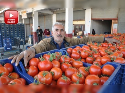 Soğuk hava domates fiyatlarını yükseltti