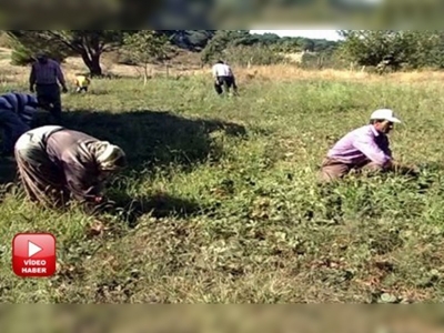 Organik ürün projesi tüm Türkiyeye örnek olacak