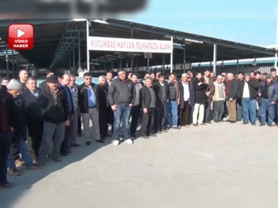 Denizlide hayvan refahı eğitimi