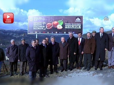 Trabzonda örnek fındık bahçesi oluşturuldu