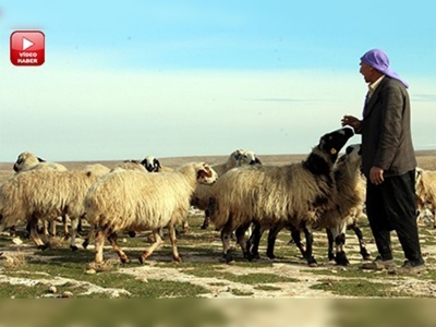 Çözüm süreci onlara da yaradı