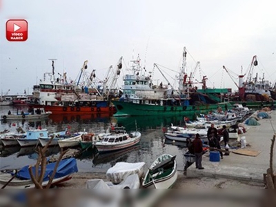 İstavrit peşinde Tekirdağa kadar geldiler