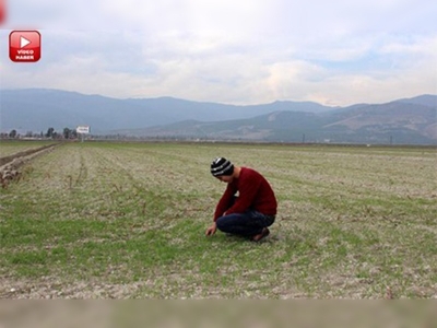 Amik Ovası'nda kuraklık