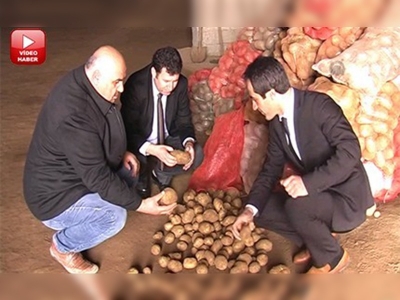 Ahlat'ta patates ihracatı 