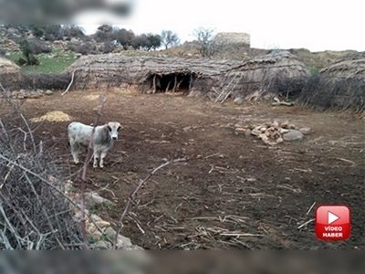 Edirne'de organik ahır yapıldı