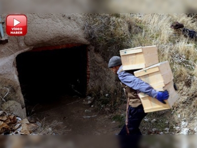 Mersin'de yetişiyor Kapadokya'da lezzet kazanıyor