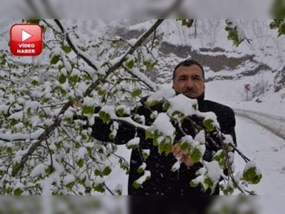 Fındık üreticilerinin 'don' endişesi