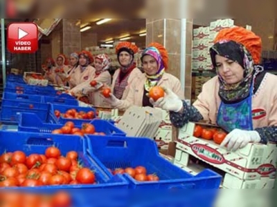 Yaş meyve sebze ihracatı yıla hızlı başladı