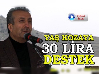 Yaş kozaya 30 lira destek verilecek 