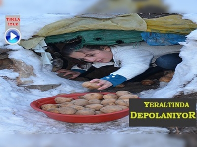 Yüksekovada patates yeraltında depolanıyor