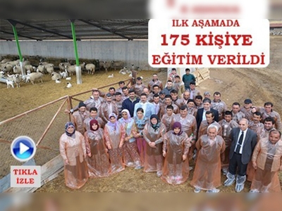 Amasyada Sürü Yönetimi Elemanı Yetiştiriciliği Kursu