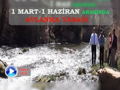 Manisada Gökkuşağı alabalığı korunuyor