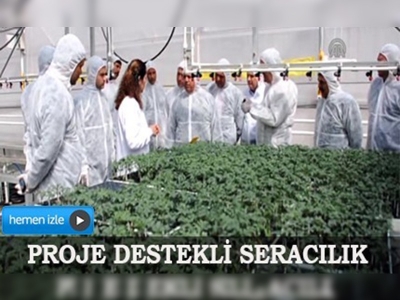 Çiftçiler Kumluca'da seraları inceledi