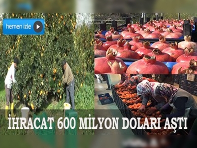 Yaş meyve ve sebze ihracatı 600 milyon doları aştı