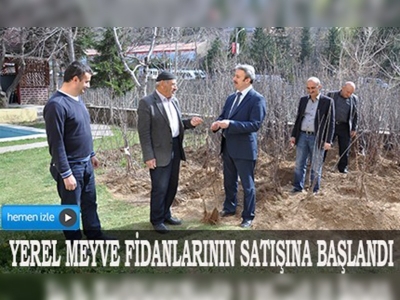 Gümüşhanede yerel meyve çeşitleri korunuyor