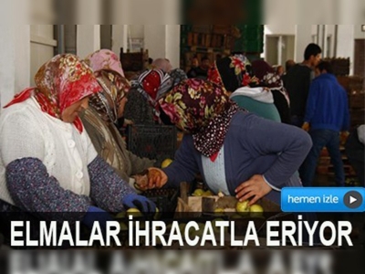 SOĞUK HAVA DEPOLARINDAKİ ELMALAR İHRACATLA ERİYOR