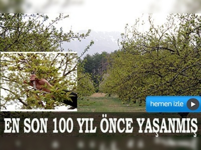 Böylesi 100 yıl önce yaşanmış