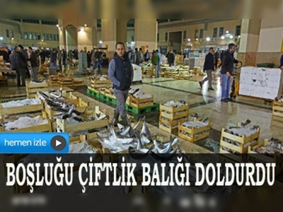 Egeli balıkçılar bu yıl umduğunu bulamadı