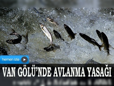 Van Gölünde avlanma yasağı başlıyor