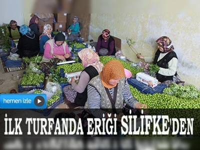 Eriğin kilosu 5 liraya kadar düştü