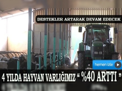 Destekler sayesinde hayvan varlığımız artıyor