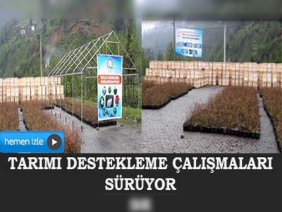 Rize'de tarımı destekleme çalışmaları sürüyor