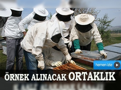 Manisalı arı ve meyve yetiştiricileri ortak çalışıyor