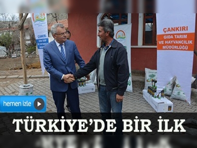 Çankırıda üreticilere kavun tohumu ve gübre dağıtıldı