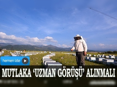 Bilinçsiz zirai ilaçlama, bal arılarını öldürüyor