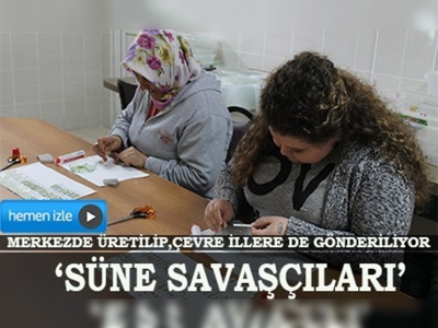 Süne mücadelesi bu yıl erken başladı