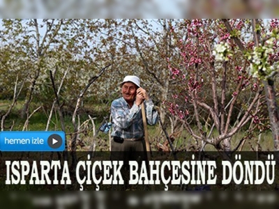 Isparta çiçek bahçesine döndü